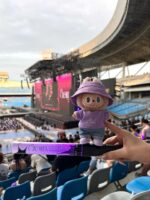 Labubu clothing G.E.M. purple T-shirt outfit