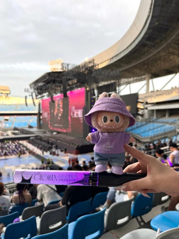 Labubu clothing G.E.M. purple T-shirt outfit