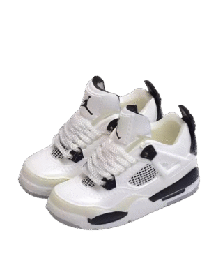 Labubu shoes Air Jordan