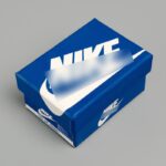 Labubu shoebox NIKE