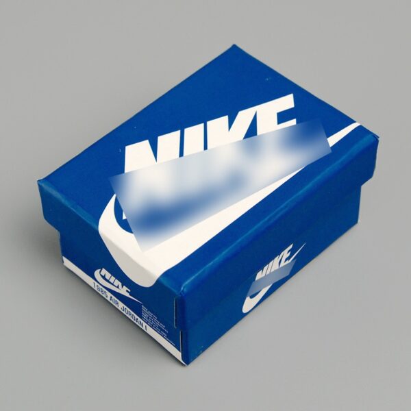 Labubu shoebox NIKE