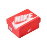 Labubu shoebox NIKE