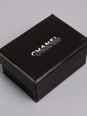 Labubu shoe box CHANEL