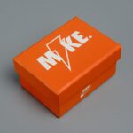 Labubu shoebox NIKE