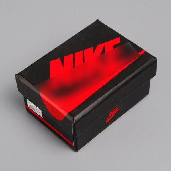 Labubu shoebox NIKE