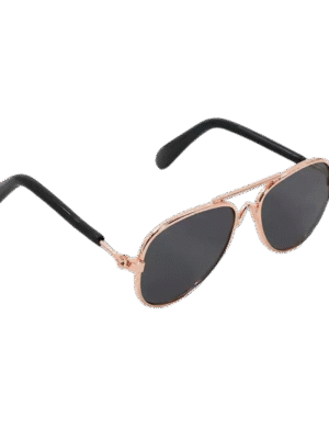 Labubu Sunglasses